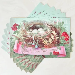 Birds Nest - Layering PostCards