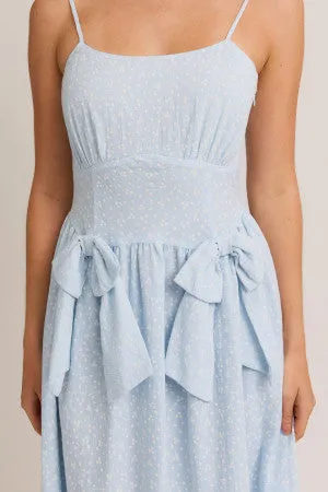 Picnic Dress